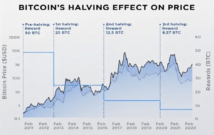 Halving Effect on Bitcoins Price