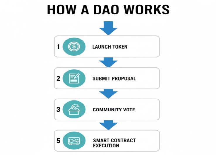 How do DAO works
